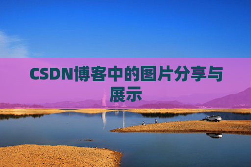 CSDN博客中的图片分享与展示